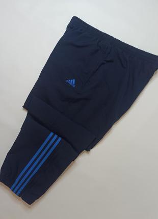 Штаны спортивные adidas6 фото