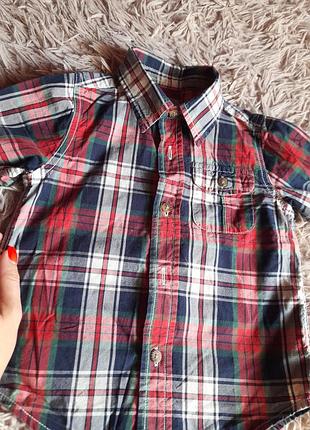 Сорочка в клітинку 3