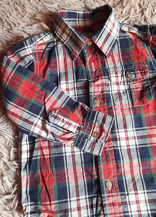 Сорочка в клітинку 2