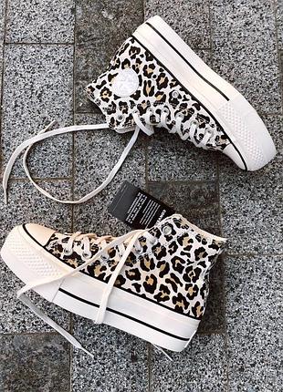 Converse chuck taylor all star high leopard женские леопардовые высокая подошва кеды...