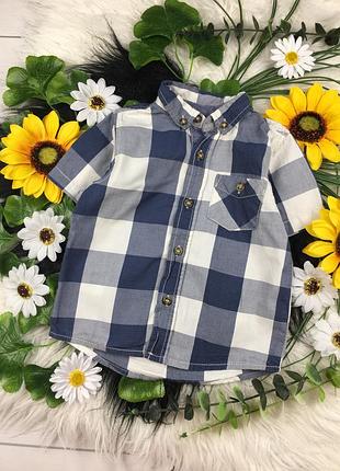 Синяя клетчатая тенниска на 18-24 мес