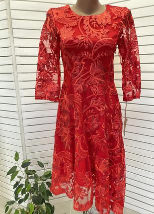 Стильна мереживна сукня мереживне ошатне плаття