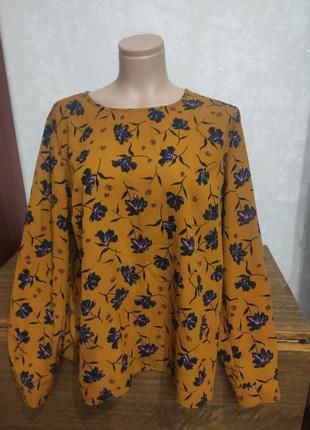 Блуза з планочкою на спині