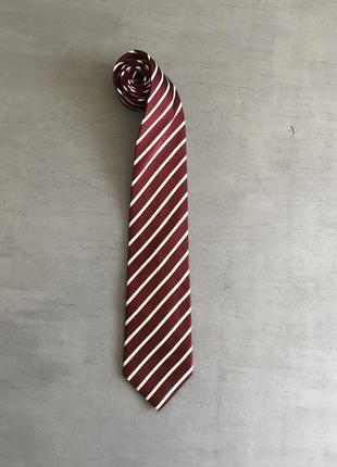 Краватка canali1 фото