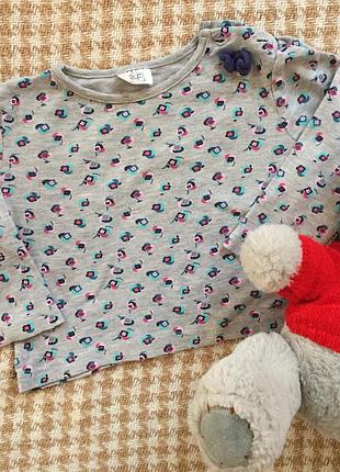 Кофтинка, реглан