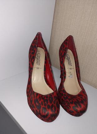 Туфлі червоні в леопардовий принт 39 р.❤️2 фото