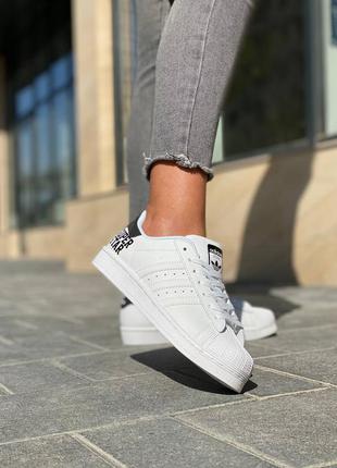 Adidas trefoil crop new arrivals