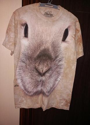 Ти мій зайчик кролик