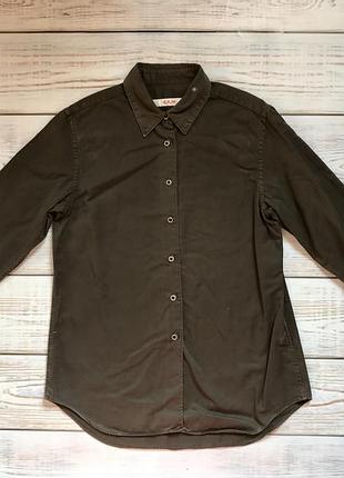 Стильна сорочка хакі бавовна коттон