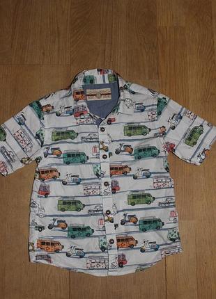 Стильна сорочка next