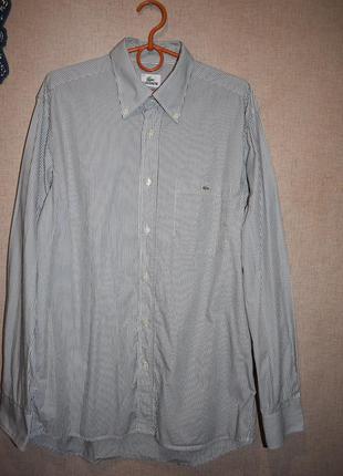 Рубашка lacoste длинный рукав полоска1 фото