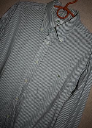Рубашка lacoste длинный рукав полоска3 фото