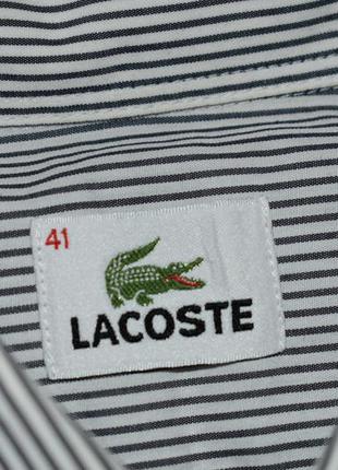 Рубашка lacoste длинный рукав полоска9 фото