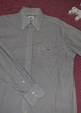 Рубашка lacoste длинный рукав полоска6 фото