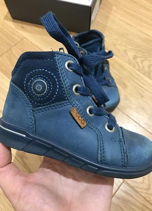 Черевички осінні