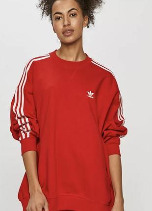 Adidas originals хлопковая кофта