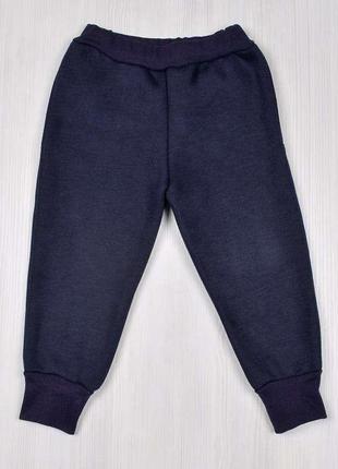 Тёплые спортивные штаны трехнитка зима/теплі спортивні штани з начосом зима