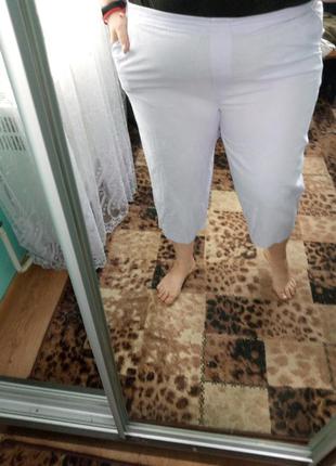 Штани-бріджі😊😊😊