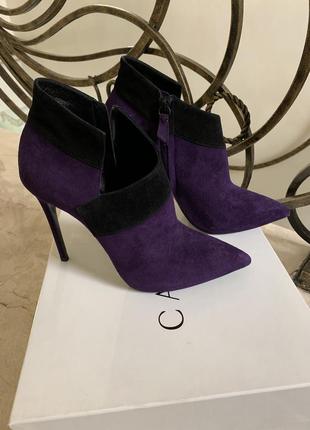 Ботильоны casadei4 фото