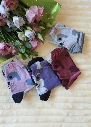 Жіночі шкарпетки з мордочками1 фото