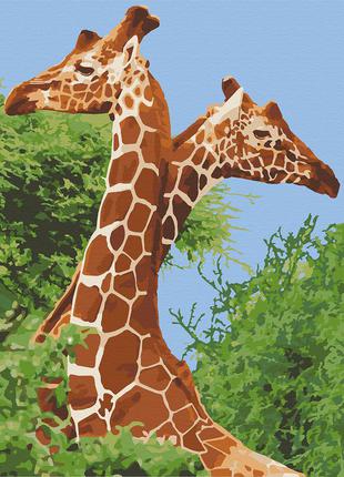 Картина за номерами пара жирафів ac11613