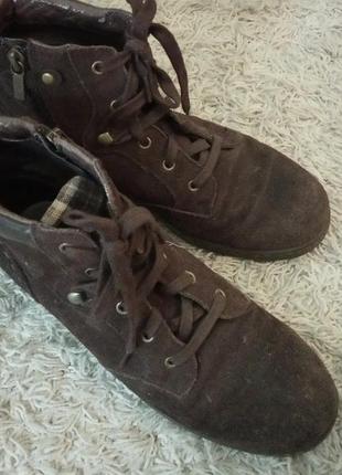 Черевики на шнурках, на блискавці, натуральний замш