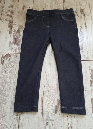 Джеггінси lupilu