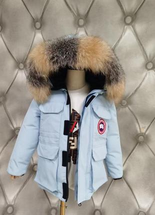 Зимова парку canada goose