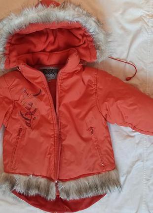 Куртка, парка