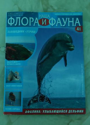 Флора і фауна - кавказ і чорноморське узбережжя