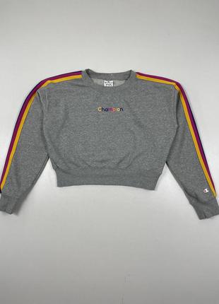 Multicolor champion sweatshirt hotsell