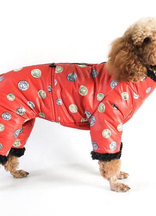 Зимний комбинезон для собачки на змейке