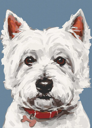 Картина за номерами вайт тер'єр ac11632