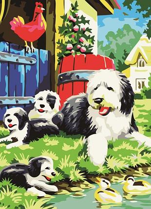 Картина за номерами лавка чудес на фермі
