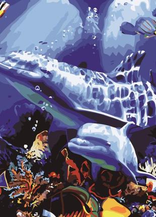 Картина за номерами лавка чудес дельфіни