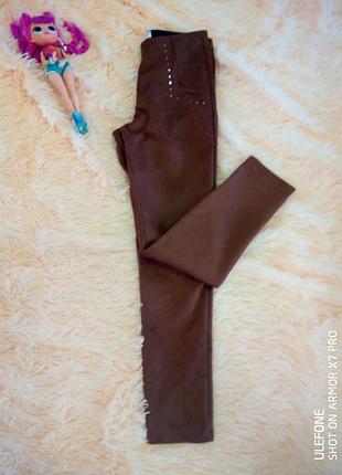 Лосіни zara