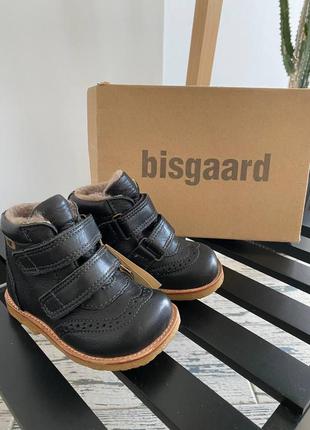 Зимние ботинки bisgaard