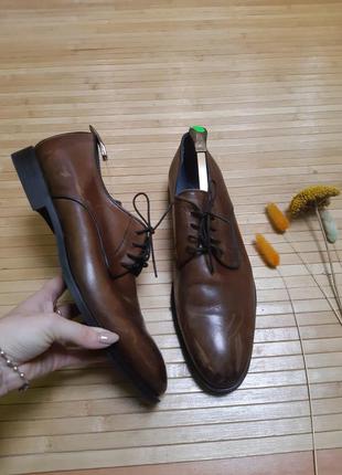 Туфлі чоловічі класичні san marina