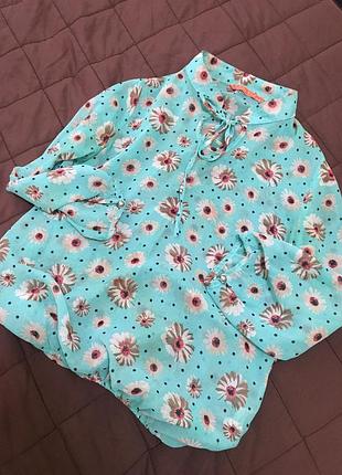 Блуза шифон 5