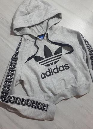 Укорочена толстовка з капюшоном adidas/худі/світшот