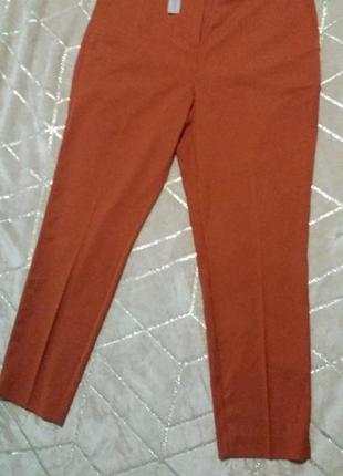 Брюки штаны классика бренд papaya3 фото