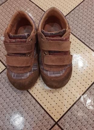 Кросівки fslcotto 6