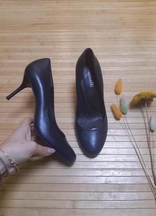 Туфлі minelli