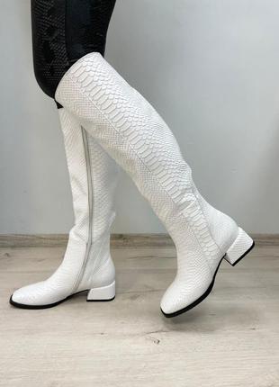 Білі дизайнерські чоботи belucci шкіра рельєфний пітон осінь зима