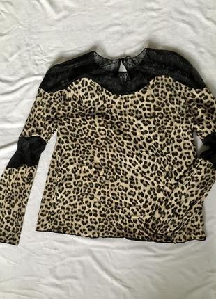 Блузка леопардовая с кружевом чёрным гипюр леопардовый принт
