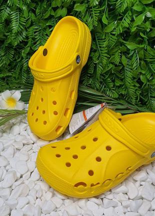 Сабо crocs