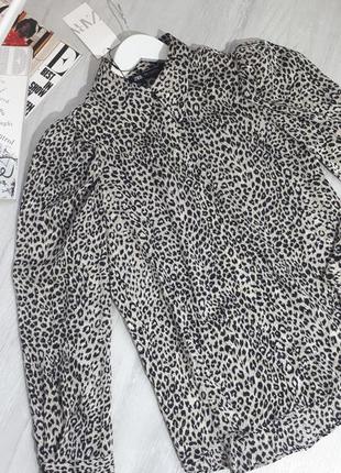 Блуза zara/леопардовый принт/с рукавами воланами/блузка с объёмными плечами4 фото