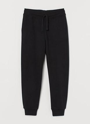Штаны спортивные с деми начёсом
