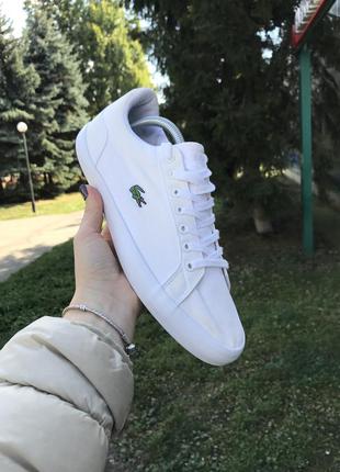 Кеды