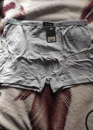 Подростковые боксеры